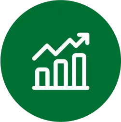 Custom investment strategies